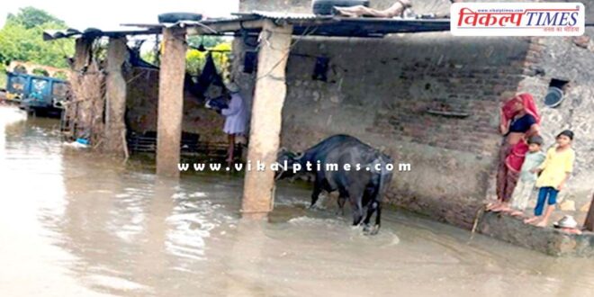 Fields filled with water, people live in huts in Sawai madhopur