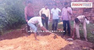 More than two thousand moldy laddus destroyed in rahtmabore sawai madhopur