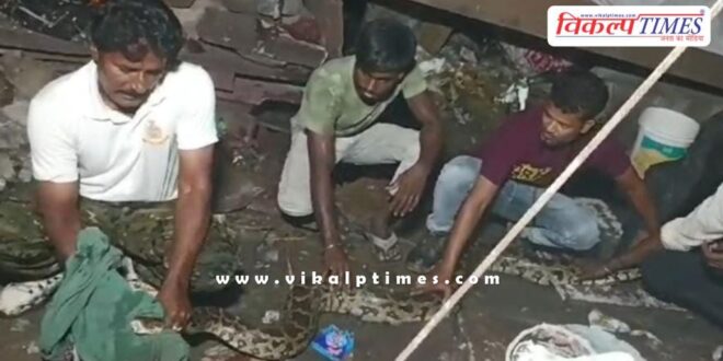 Python snake catcher kota news 11 Sept 24