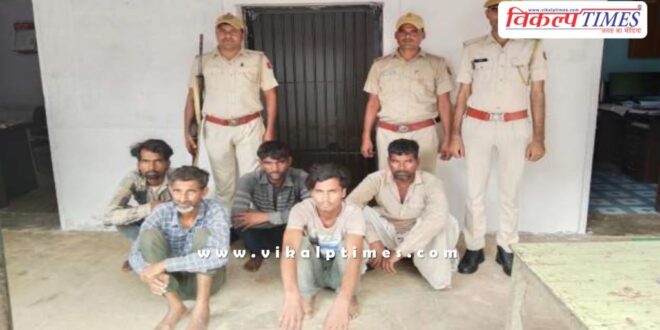 Sheep Mitrapura Sawai Madhopur Police News 15 Sept 24