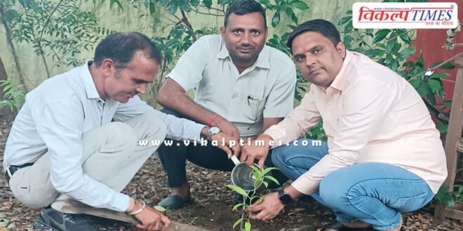 Social worker manoj parashar celebrated his birthday by planting saplings in sawai madhopur