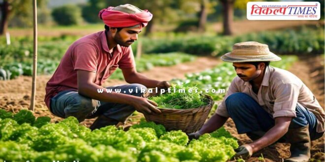 Young farmers will get opportunity for training abroad