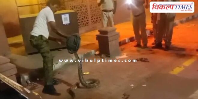 10 feet long python seen near Dussehra ground wall in kota