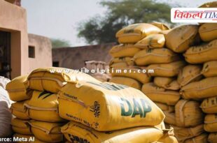 69 bags of DAP fertilizer Quality control campaign Rajasthan 23 oct 24