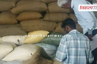 7 thousand 650 kg mustard stock jaipur news 23 oct 24