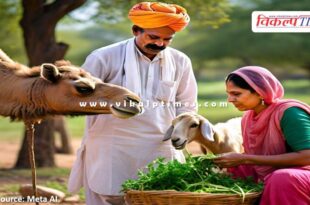 Animal farmers will become empowered through Dev Loan Scheme in Balotra rajasthan