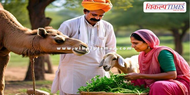 Animal farmers will become empowered through Dev Loan Scheme in Balotra rajasthan