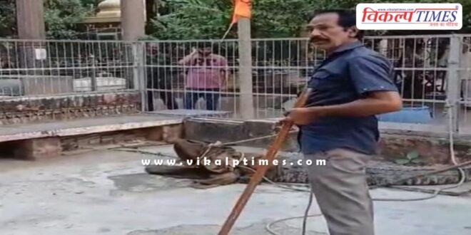 Crocodile weighing 100 kg entered Shivpuri Dham temple kota