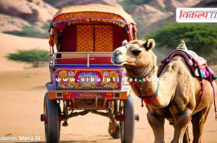 vehicle hits camel cart in malarna dungar sawai madhopur