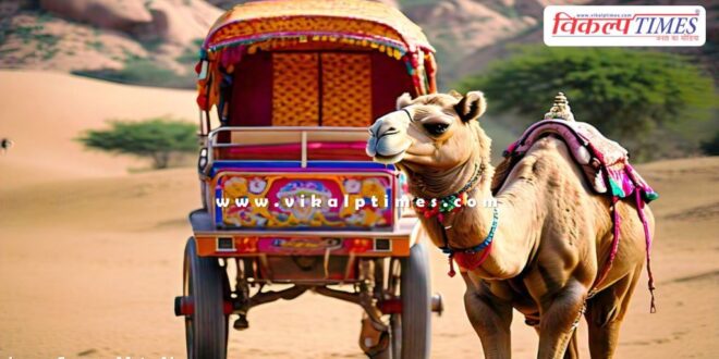 vehicle hits camel cart in malarna dungar sawai madhopur