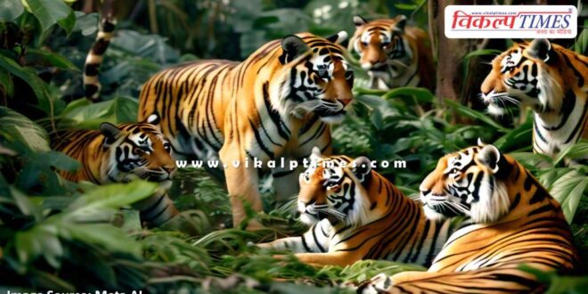 Committee will investigate the missing tigers of Ranthambore