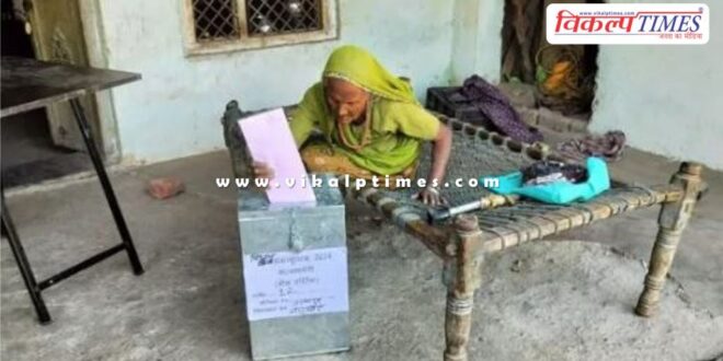 Home Voting 900 voters cast their votes on the first day in rajasthan