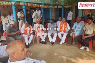 Madhu Mukul election Dausa and Deoli-Uniara assembly