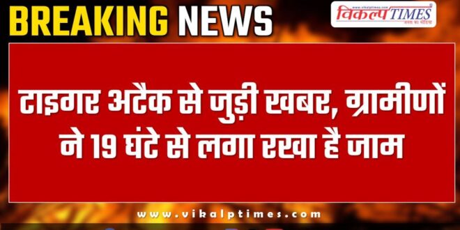 Ranthambore Tiger Villagers news update 03 nov 24