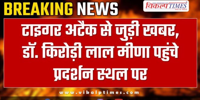 Tiger Ranthambore Dr Kirodi Lal Meena News Update 03 Nov 24