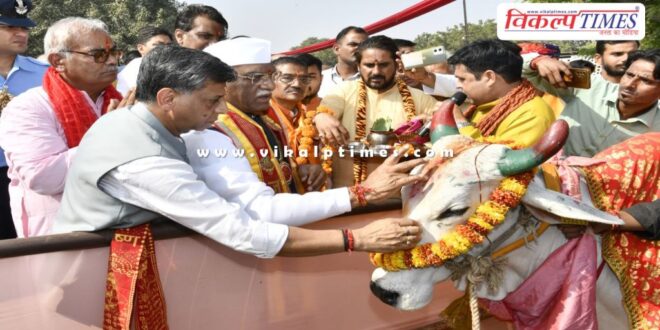 Understanding the importance of cows, work for cow protection.