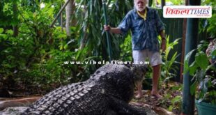 World Largest Crocodile Cassius passes away