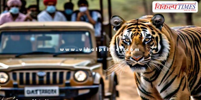 Current online booking closed for tourists in Ranthambore due to rising rajasthan summit