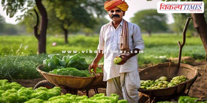 Last date to get insurance under Pradhan Mantri Fasal Bima Yojana is 31 December