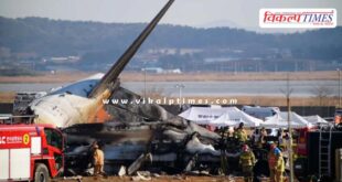 South Korea plane crash News