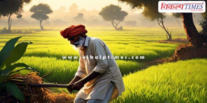 Big decisions taken for farmers in the new year 2025