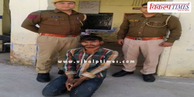Bonli Police Sawai Madhopur News 29 Jan 25