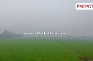 Dense fog in Kota since morning