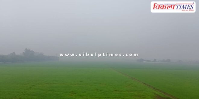 Dense fog in Kota since morning