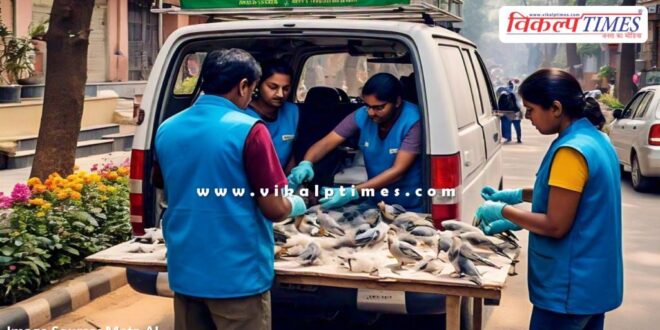 Formation of mobile unit for the treatment of birds during kite flying