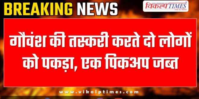 Khanda Sawai Madhopur Police News 22 Jan 25