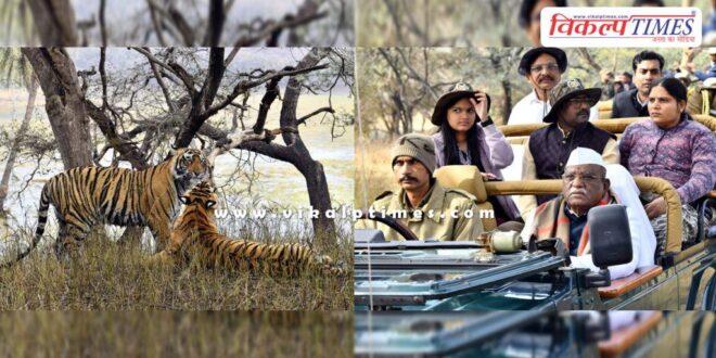 Rajasthan Governor Haribhau Bagade saw the mischief of tigers in Ranthambore