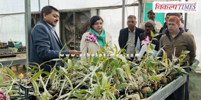 Sawai Madhopur Collector inspected the Flower Excellence Center