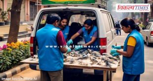 Treated 41 birds injured in kite flying in kota