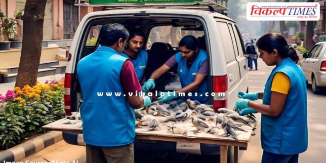 Treated 41 birds injured in kite flying in kota