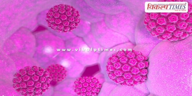 Why did the Health Ministry say on HMPV virus, no need to worry