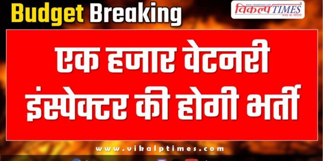 Rajasthan Budget One thousand veterinary inspectors will be recruited