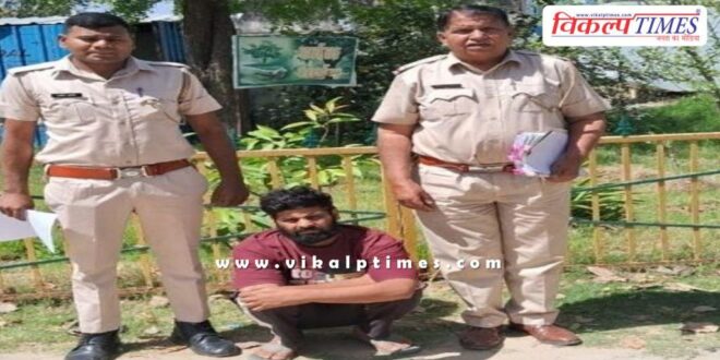 Bamanwas Police Sawai Madhopur news 30 march 25