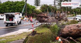 Cyclone Alfred 2025 in australia