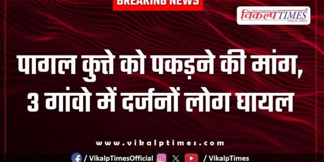 Demand to catch mad dog in bamanwas sawai madhopur