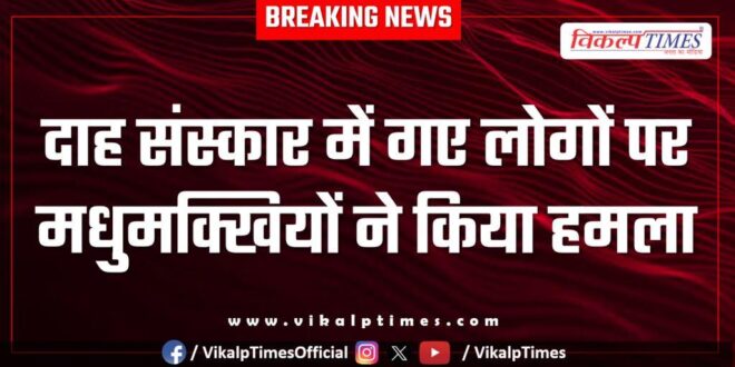 Honey Bees Pali Rajasthan news 16 March 25