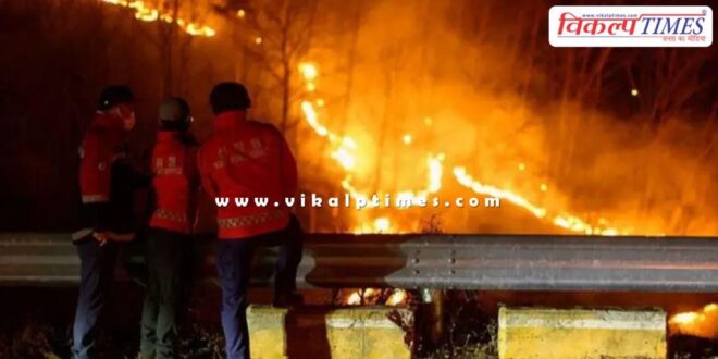 South korea forest fire news 27 march 25