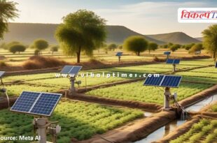 Subsidy will be given to farmers on 60 thousand solar pumps in rajasthan
