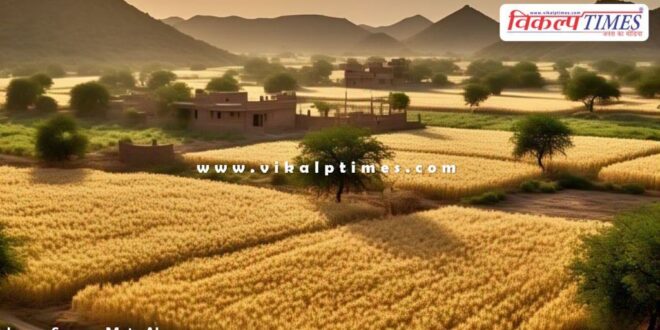 Wheat procurement at support price will start from March 10 in sawai madhopur