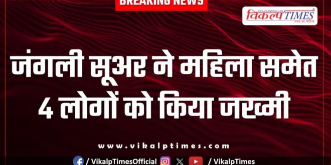 Wild Boar Khandar Women Police Sawai Madhopur News 07 March 25