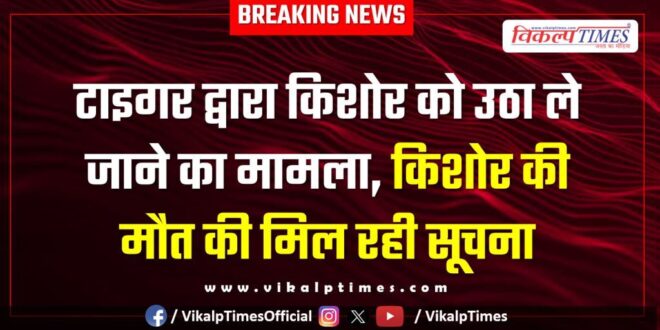6 years old child ranthambore tiger sawai madhopur news 16 April 25
