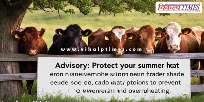 Advisory issued for protection of animals and cowsheds from heat waves in sawai madhopur