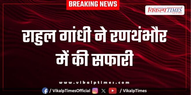 Rahul Gandhi did a safari in Ranthambore national park