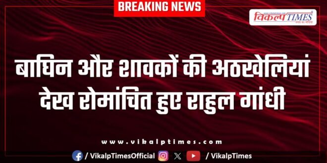 Rahul Gandhi visit ranthambore national park Sawai Madhopur News