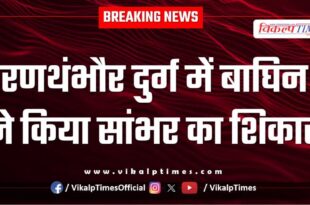 Ranthambore Tiger Tigress Sawai Madhopur News 27 April 25
