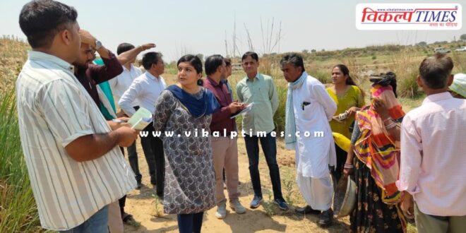 Sawai Madhopur Collector Shubham Chaudhary inspected MGNREGA works